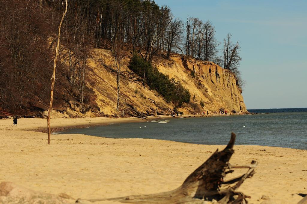 Orlowo Nadmorskie Gdynia Extérieur photo